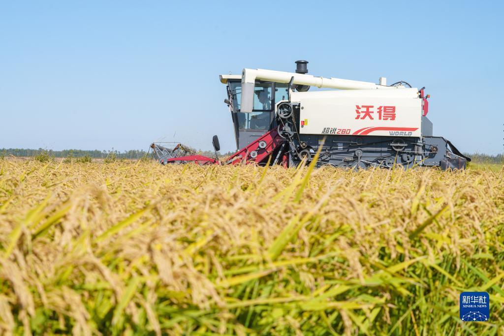 新奥门娱乐